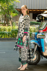 Dilruba Printed 3pcs